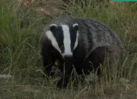 Monasteriohome Apto3