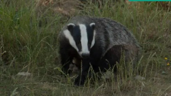 Monasteriohome Apto3